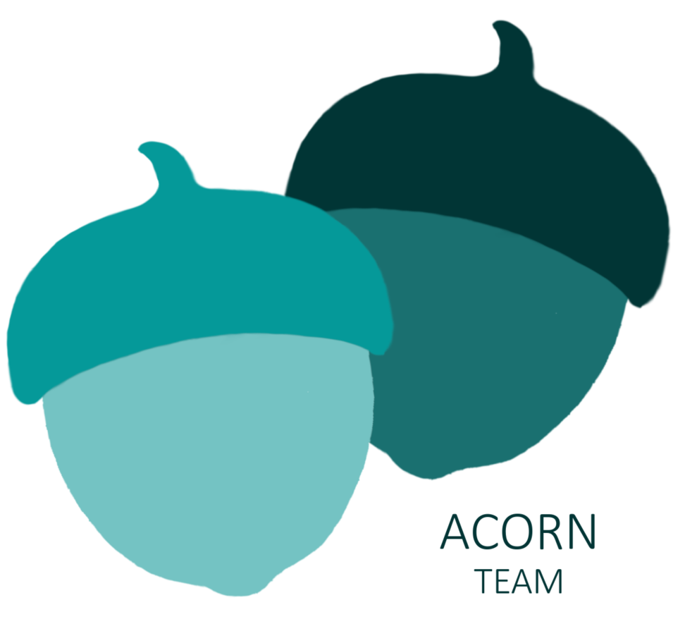 Acorn